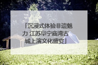 沉浸式体验非遗魅力 江苏阜宁庙湾古城上演文化盛宴