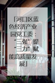 河口区蓝色经济产业园党工委：“三强”提“三力”赋能高质量发展