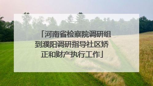 河南省检察院调研组到濮阳调研指导社区矫正和财产执行工作