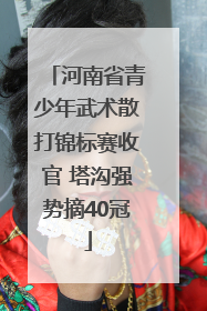 河南省青少年武术散打锦标赛收官 塔沟强势摘40冠