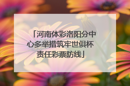 河南体彩洛阳分中心多举措筑牢世俱杯责任彩票防线