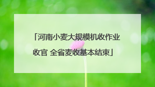 河南小麦大规模机收作业收官 全省麦收基本结束