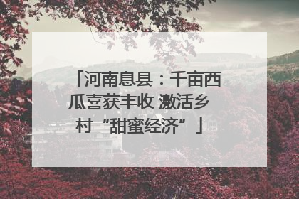 河南息县：千亩西瓜喜获丰收 激活乡村“甜蜜经济”