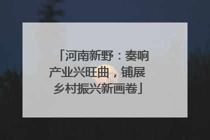 河南新野：奏响产业兴旺曲，铺展乡村振兴新画卷