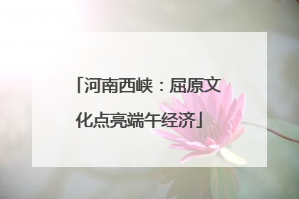 河南西峡：屈原文化点亮端午经济