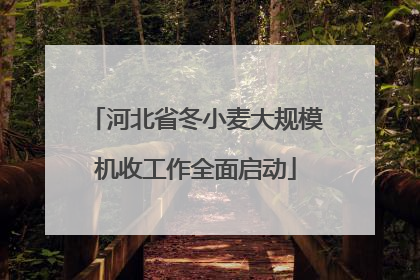 河北省冬小麦大规模机收工作全面启动