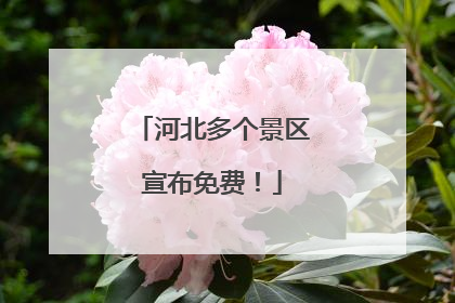 河北多个景区宣布免费！