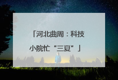 河北曲周：科技小院忙“三夏”