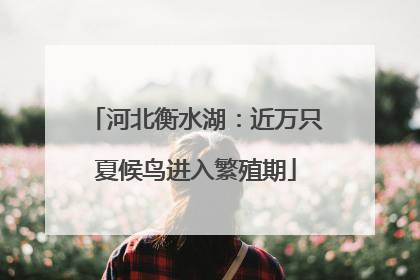 河北衡水湖：近万只夏候鸟进入繁殖期
