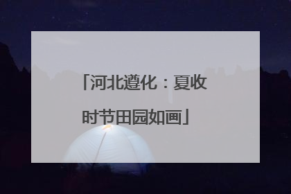 河北遵化：夏收时节田园如画