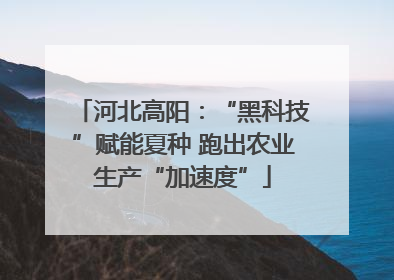 河北高阳：“黑科技”赋能夏种 跑出农业生产“加速度”
