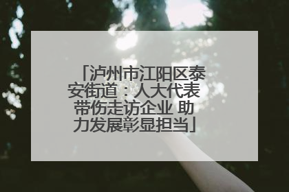 泸州市江阳区泰安街道：人大代表带伤走访企业 助力发展彰显担当