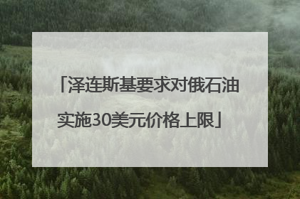 泽连斯基要求对俄石油实施30美元价格上限