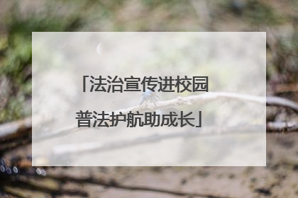 法治宣传进校园 普法护航助成长