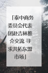泰中商务委员会代表团赴吉林推介交流 寻求共拓东盟市场