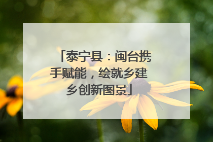 泰宁县：闽台携手赋能，绘就乡建乡创新图景