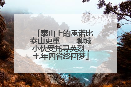 泰山上的承诺比泰山更重——聊城小伙受托寻英烈，七年四省终圆梦
