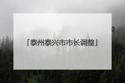 泰州泰兴市市长调整