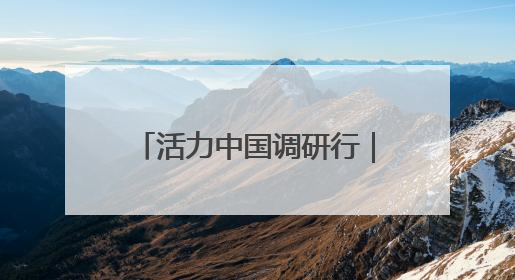 活力中国调研行｜向“智”！中国机器人“跑”起来