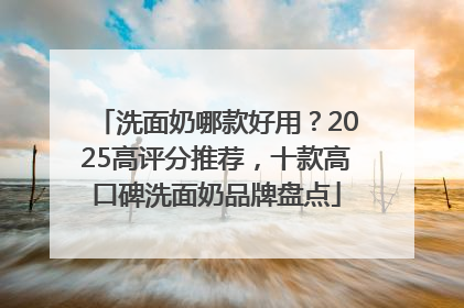 洗面奶哪款好用？2025高评分推荐，十款高口碑洗面奶品牌盘点