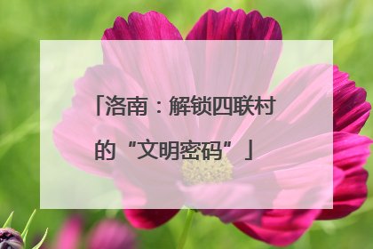 洛南：解锁四联村的“文明密码”