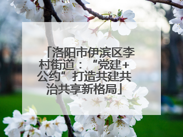 洛阳市伊滨区李村街道：“党建+公约”打造共建共治共享新格局