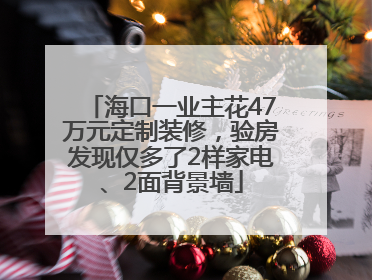 海口一业主花47万元定制装修，验房发现仅多了2样家电、2面背景墙