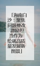 海南白沙：聚焦问题整改 激励担当作为 绘就高质量发展新图景