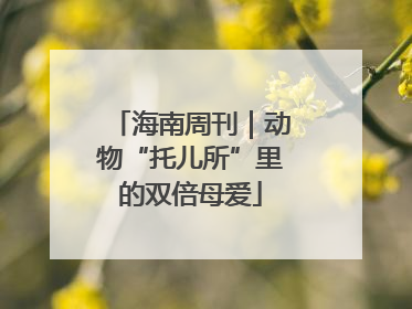 海南周刊｜动物“托儿所”里的双倍母爱
