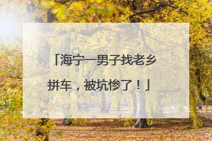 海宁一男子找老乡拼车，被坑惨了！
