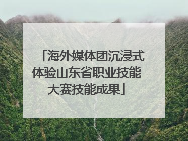 海外媒体团沉浸式体验山东省职业技能大赛技能成果