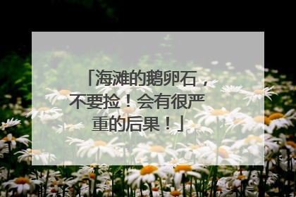 海滩的鹅卵石，不要捡！会有很严重的后果！