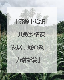 济源下冶镇：共叙乡情谋发展，凝心聚力谱新篇