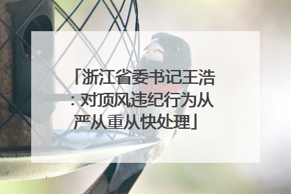 浙江省委书记王浩：对顶风违纪行为从严从重从快处理