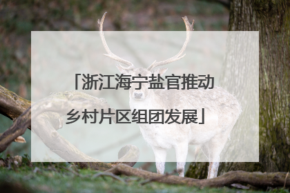浙江海宁盐官推动乡村片区组团发展