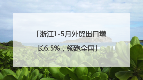 浙江1-5月外贸出口增长6.5%，领跑全国