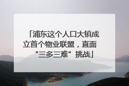 浦东这个人口大镇成立首个物业联盟，直面“三多三难”挑战