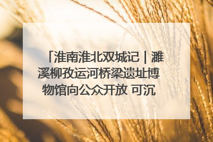 淮南淮北双城记｜濉溪柳孜运河桥梁遗址博物馆向公众开放 可沉浸式触摸历史