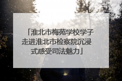 淮北市梅苑学校学子走进淮北市检察院沉浸式感受司法魅力