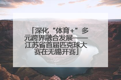 深化“体育+”多元跨界融合发展——江苏省首届匹克球大赛在无锡开赛