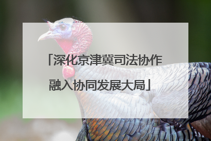 深化京津冀司法协作 融入协同发展大局