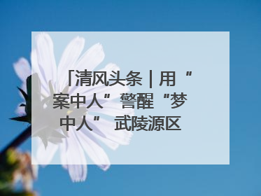 清风头条｜用“案中人”警醒“梦中人” 武陵源区百名干部“零距离”接受警示教育