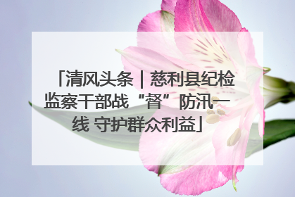 清风头条｜慈利县纪检监察干部战“督”防汛一线 守护群众利益