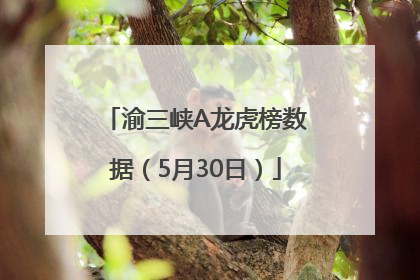 渝三峡A龙虎榜数据（5月30日）