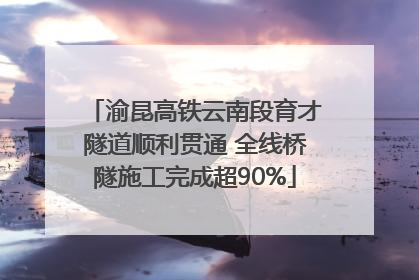 渝昆高铁云南段育才隧道顺利贯通 全线桥隧施工完成超90%