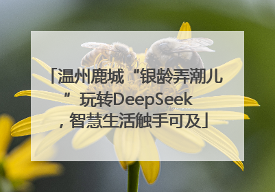 温州鹿城“银龄弄潮儿”玩转DeepSeek，智慧生活触手可及