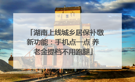 湖南上线城乡居保补缴新功能：手机点一点 养老金提档不用跑腿