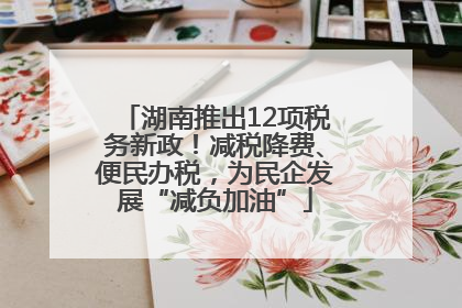 湖南推出12项税务新政！减税降费、便民办税，为民企发展“减负加油”