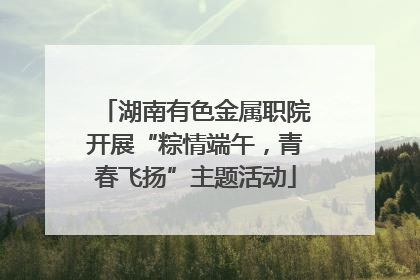 湖南有色金属职院开展“粽情端午，青春飞扬”主题活动