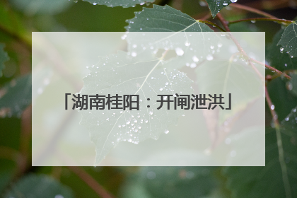 湖南桂阳：开闸泄洪